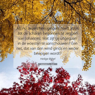 Picture 07 - Mattheüs 11:7 NLD - Als nu dezen heengingen, heeft Jezus tot de - Bible Verse Picture