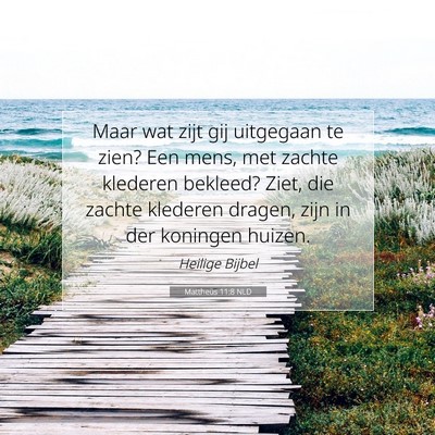 Picture 07 - Mattheüs 11:8 NLD - Maar wat zijt gij uitgegaan te zien? Een mens, - Bible Verse Picture