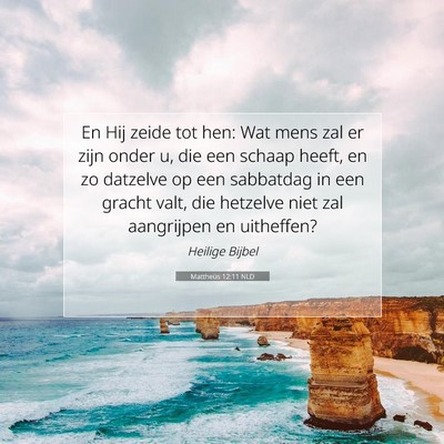 Picture 07 - Mattheüs 12:11 NLD - En Hij zeide tot hen: Wat mens zal er zijn onder - Bible Verse Picture