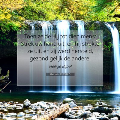 Picture 07 - Mattheüs 12:13 NLD - Toen zeide Hij tot dien mens: Strek uw hand uit; - Bible Verse Picture