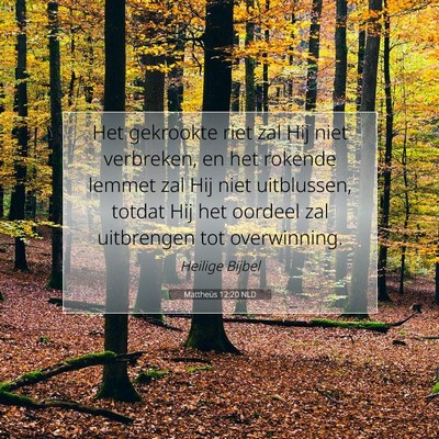 Picture 07 - Mattheüs 12:20 NLD - Het gekrookte riet zal Hij niet verbreken, en het - Bible Verse Picture