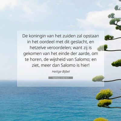 Picture 07 - Mattheüs 12:42 NLD - De koningin van het zuiden zal opstaan in het - Bible Verse Picture