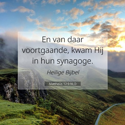 Picture 07 - Mattheüs 12:9 NLD - En van daar voortgaande, kwam Hij in hun - Bible Verse Picture