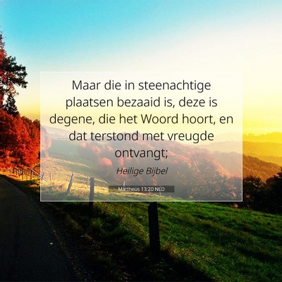 Picture 07 - Mattheüs 13:20 NLD - Maar die in steenachtige plaatsen bezaaid is, - Bible Verse Picture