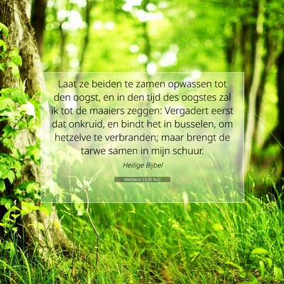 Picture 07 - Mattheüs 13:30 NLD - Laat ze beiden te zamen opwassen tot den oogst, - Bible Verse Picture