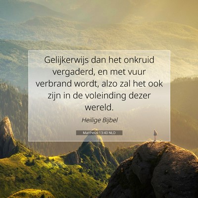 Picture 07 - Mattheüs 13:40 NLD - Gelijkerwijs dan het onkruid vergaderd, en met - Bible Verse Picture