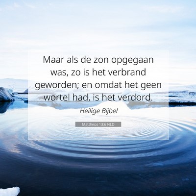 Picture 07 - Mattheüs 13:6 NLD - Maar als de zon opgegaan was, zo is het verbrand - Bible Verse Picture