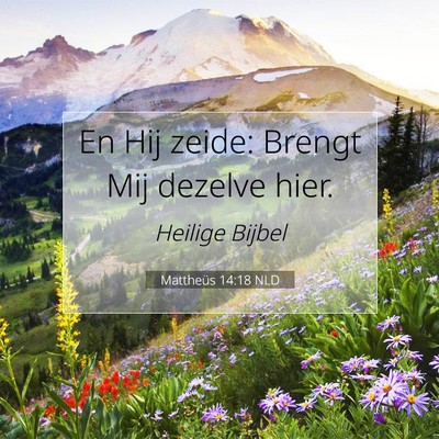 Picture 07 - Mattheüs 14:18 NLD - En Hij zeide: Brengt Mij dezelve - Bible Verse Picture