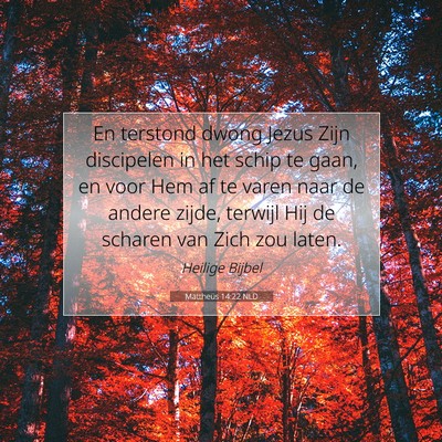Picture 07 - Mattheüs 14:22 NLD - En terstond dwong Jezus Zijn discipelen in het - Bible Verse Picture