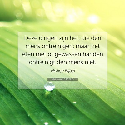 Picture 07 - Mattheüs 15:20 NLD - Deze dingen zijn het, die den mens ontreinigen; - Bible Verse Picture