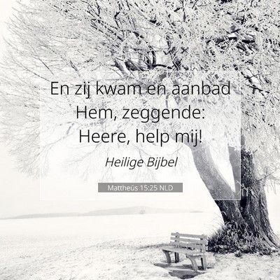 Picture 07 - Mattheüs 15:25 NLD - En zij kwam en aanbad Hem, zeggende: Heere, help - Bible Verse Picture