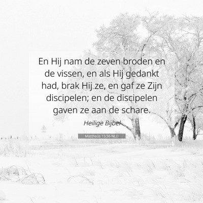 Picture 07 - Mattheüs 15:36 NLD - En Hij nam de zeven broden en de vissen, en als - Bible Verse Picture