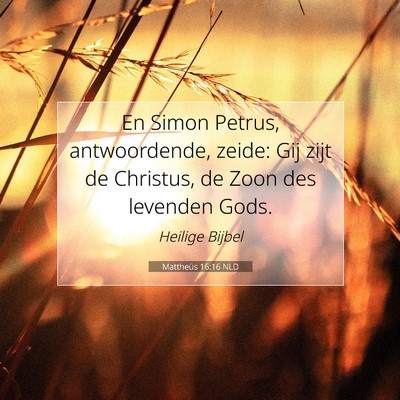 Picture 07 - Mattheüs 16:16 NLD - En Simon Petrus, antwoordende, zeide: Gij zijt de - Bible Verse Picture