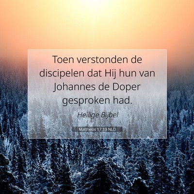 Picture 07 - Mattheüs 17:13 NLD - Toen verstonden de discipelen dat Hij hun van - Bible Verse Picture