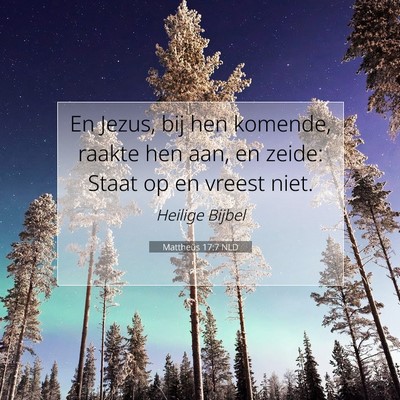 Picture 07 - Mattheüs 17:7 NLD - En Jezus, bij hen komende, raakte hen aan, en - Bible Verse Picture