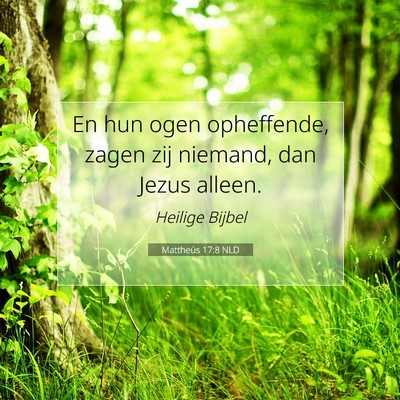 Picture 07 - Mattheüs 17:8 NLD - En hun ogen opheffende, zagen zij niemand, dan - Bible Verse Picture