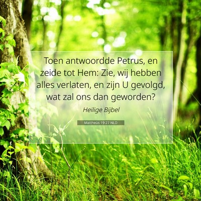 Picture 07 - Mattheüs 19:27 NLD - Toen antwoordde Petrus, en zeide tot Hem: Zie, - Bible Verse Picture