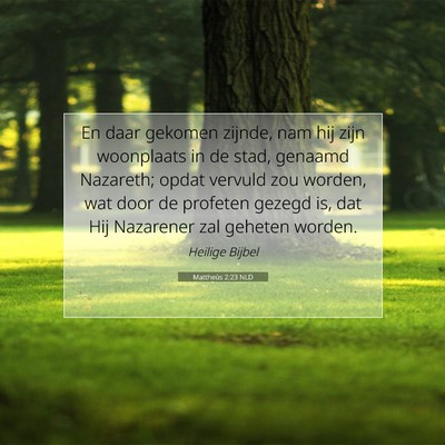 Picture 07 - Mattheüs 2:23 NLD - En daar gekomen zijnde, nam hij zijn woonplaats - Bible Verse Picture