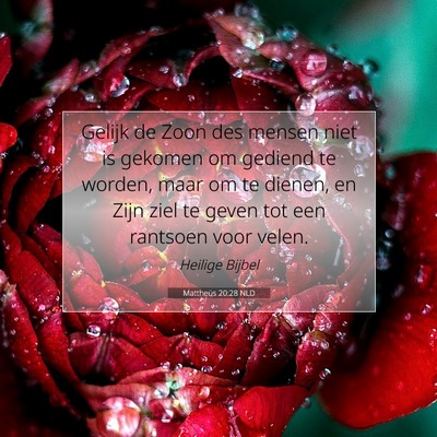 Picture 07 - Mattheüs 20:28 NLD - Gelijk de Zoon des mensen niet is gekomen om - Bible Verse Picture
