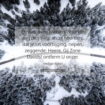 Picture 07 - Mattheüs 20:30 NLD - En ziet, twee blinden, zittende aan den weg, als - Bible Verse Picture