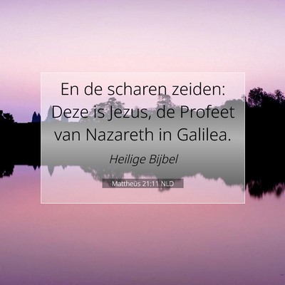 Picture 07 - Mattheüs 21:11 NLD - En de scharen zeiden: Deze is Jezus, de Profeet - Bible Verse Picture