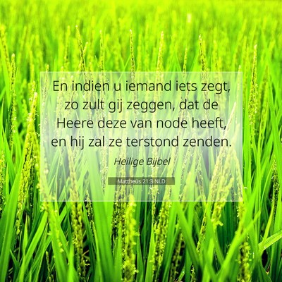 Picture 07 - Mattheüs 21:3 NLD - En indien u iemand iets zegt, zo zult gij zeggen, - Bible Verse Picture