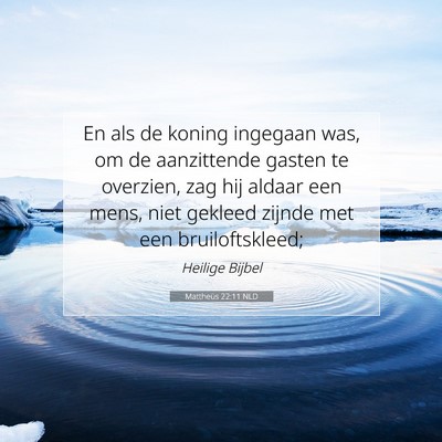 Picture 07 - Mattheüs 22:11 NLD - En als de koning ingegaan was, om de aanzittende - Bible Verse Picture