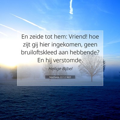 Picture 07 - Mattheüs 22:12 NLD - En zeide tot hem: Vriend! hoe zijt gij hier - Bible Verse Picture