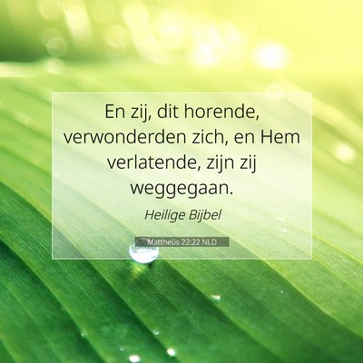 Picture 07 - Mattheüs 22:22 NLD - En zij, dit horende, verwonderden zich, en Hem - Bible Verse Picture