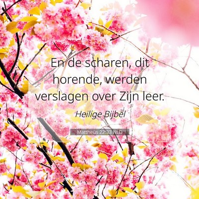 Picture 07 - Mattheüs 22:33 NLD - En de scharen, dit horende, werden verslagen over - Bible Verse Picture
