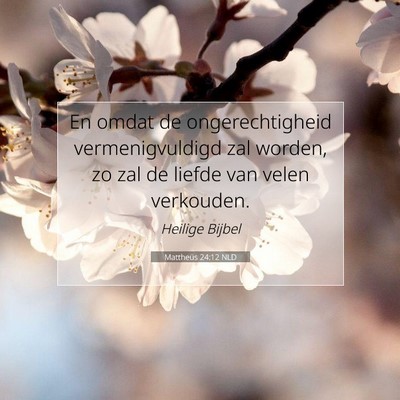 Picture 07 - Mattheüs 24:12 NLD - En omdat de ongerechtigheid vermenigvuldigd zal - Bible Verse Picture