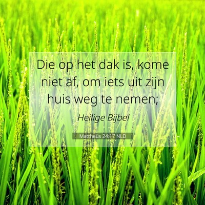 Picture 07 - Mattheüs 24:17 NLD - Die op het dak is, kome niet af, om iets uit zijn - Bible Verse Picture