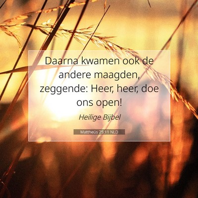 Picture 07 - Mattheüs 25:11 NLD - Daarna kwamen ook de andere maagden, zeggende: - Bible Verse Picture