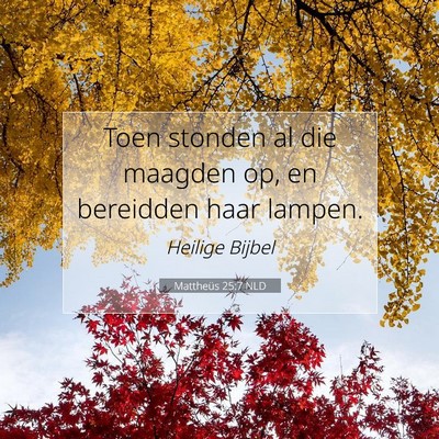 Picture 07 - Mattheüs 25:7 NLD - Toen stonden al die maagden op, en bereidden haar - Bible Verse Picture