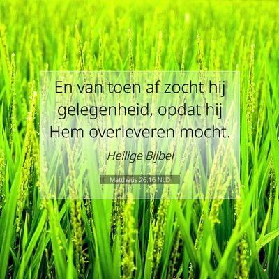 Picture 07 - Mattheüs 26:16 NLD - En van toen af zocht hij gelegenheid, opdat hij - Bible Verse Picture