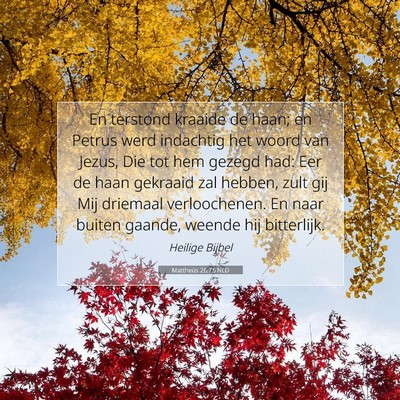 Picture 07 - Mattheüs 26:75 NLD - En terstond kraaide de haan; en Petrus werd - Bible Verse Picture