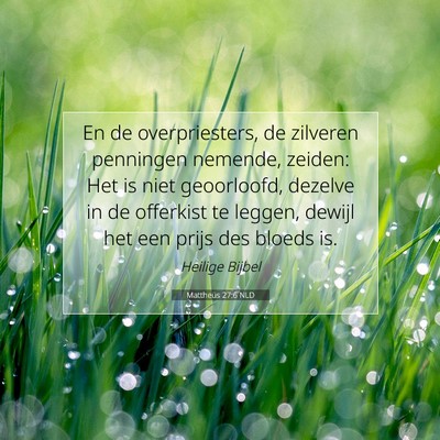 Picture 07 - Mattheüs 27:6 NLD - En de overpriesters, de zilveren penningen - Bible Verse Picture