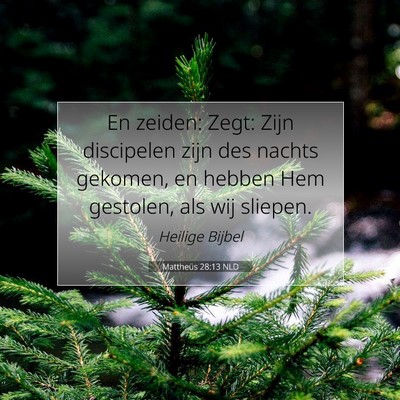 Picture 07 - Mattheüs 28:13 NLD - En zeiden: Zegt: Zijn discipelen zijn des nachts - Bible Verse Picture