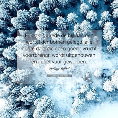 Picture 07 - Mattheüs 3:10 NLD - En ook is alrede de bijl aan den wortel der bomen - Bible Verse Picture