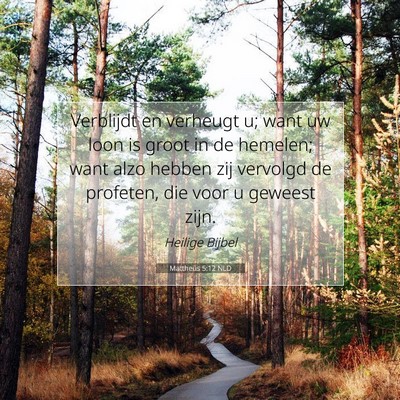 Picture 07 - Mattheüs 5:12 NLD - Verblijdt en verheugt u; want uw loon is groot in - Bible Verse Picture
