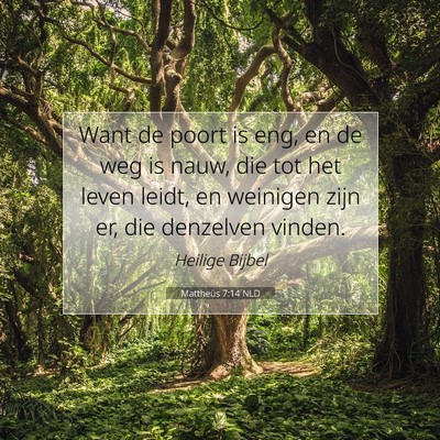 Picture 07 - Mattheüs 7:14 NLD - Want de poort is eng, en de weg is nauw, die tot - Bible Verse Picture