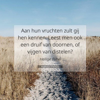 Picture 07 - Mattheüs 7:16 NLD - Aan hun vruchten zult gij hen kennen. Leest men - Bible Verse Picture