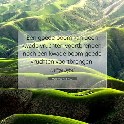 Picture 07 - Mattheüs 7:18 NLD - Een goede boom kan geen kwade vruchten - Bible Verse Picture