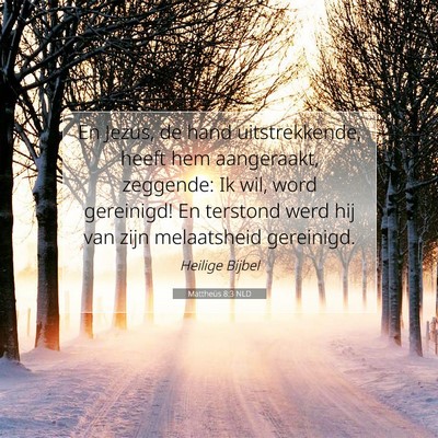 Picture 07 - Mattheüs 8:3 NLD - En Jezus, de hand uitstrekkende, heeft hem - Bible Verse Picture