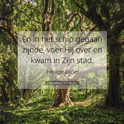 Picture 07 - Mattheüs 9:1 NLD - En in het schip gegaan zijnde, voer Hij over en - Bible Verse Picture