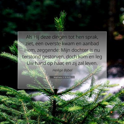 Picture 07 - Mattheüs 9:18 NLD - Als Hij deze dingen tot hen sprak, ziet, een - Bible Verse Picture