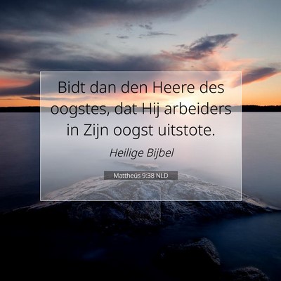 Picture 07 - Mattheüs 9:38 NLD - Bidt dan den Heere des oogstes, dat Hij arbeiders - Bible Verse Picture