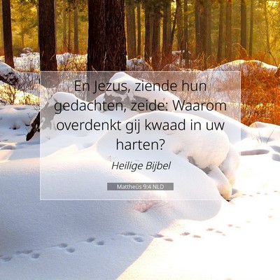 Picture 07 - Mattheüs 9:4 NLD - En Jezus, ziende hun gedachten, zeide: Waarom - Bible Verse Picture