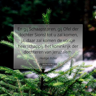 Picture 07 - Micha 4:8 NLD - En gij Schaapstoren, gij Ofel der dochter Sions! - Bible Verse Picture
