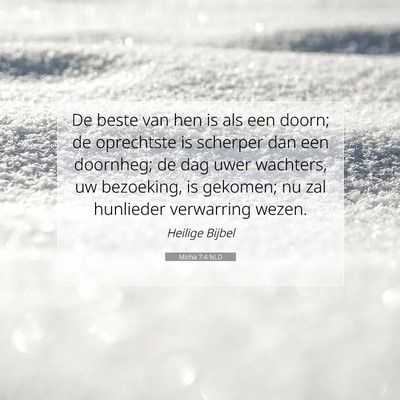 Picture 07 - Micha 7:4 NLD - De beste van hen is als een doorn; de oprechtste - Bible Verse Picture